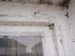 edencottages - 5166.jpg